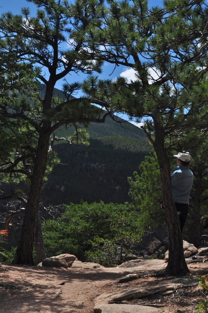 Lily Lake Trail